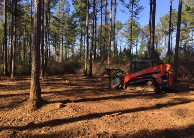 Land Clearing Services in Albany GA