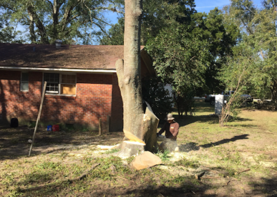 Tree Removal Warwick GA