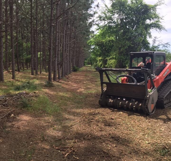 Forestry Mulching Expert In Southwest GA Is Accepting New Clients