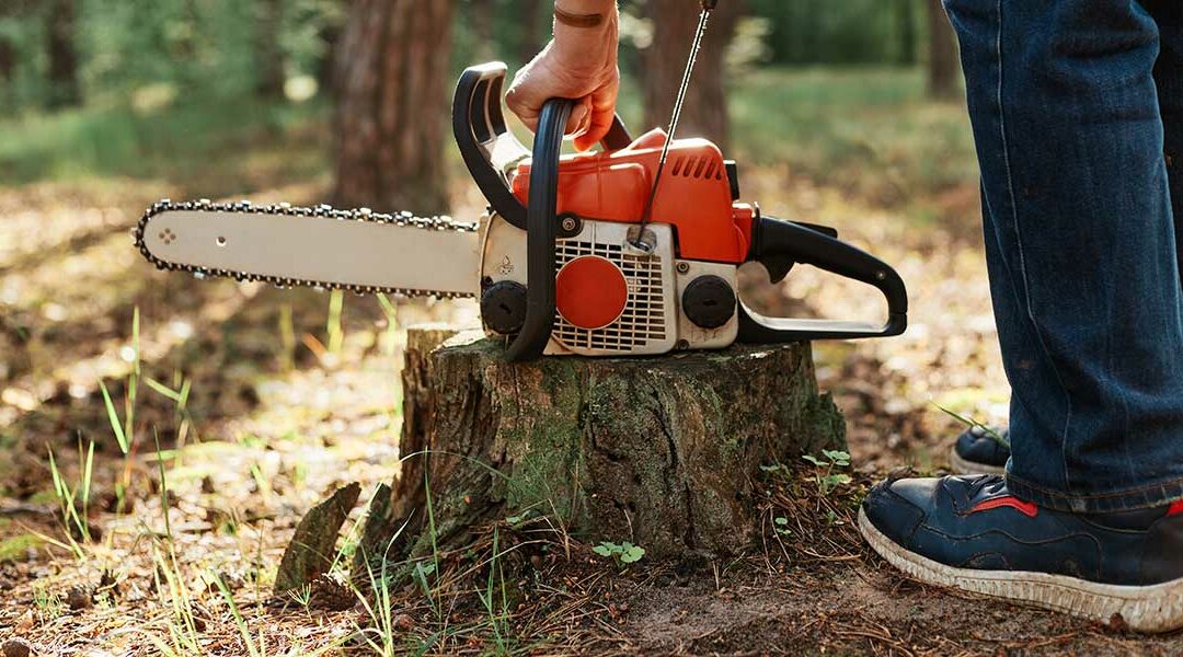 Nine Reasons You Should Avoid DIY Tree Removal in Sylvester, GA