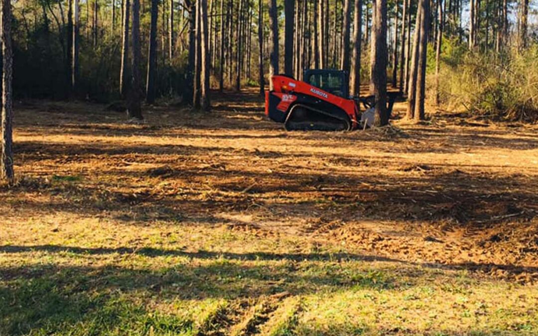 Does Clearing Land Increase Property Value?