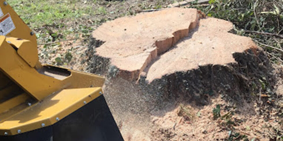 Stump Griding in Portsmouth Virginia - YouTube