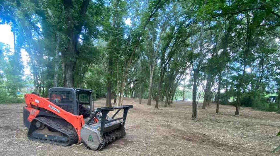 What Is Forestry Mulching, and Why Do You Need It in Moultrie, GA?