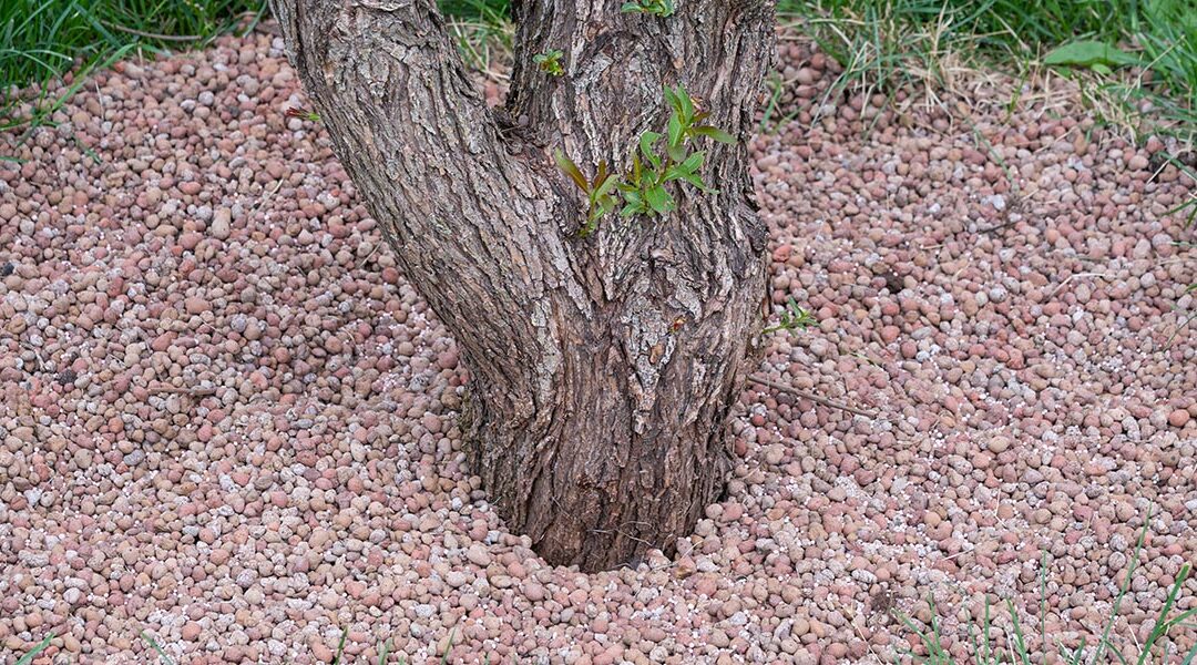 Will Putting Mulch Around a Tree Kill It in Sylvester, GA?